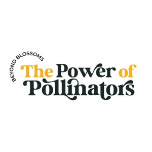 Beyond Blossoms: The Power of Pollinators logo